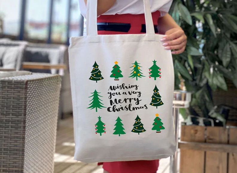 Holiday gift bag